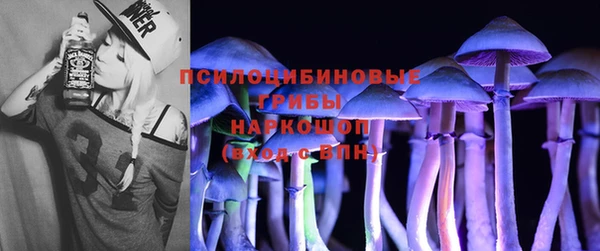 молекула духа Остров