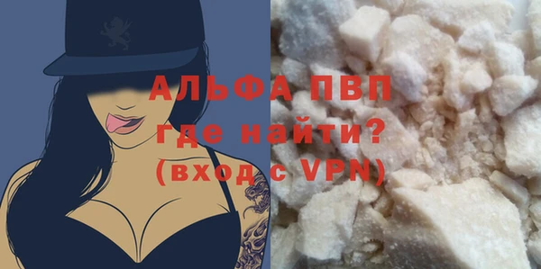 прущие грибы Пересвет