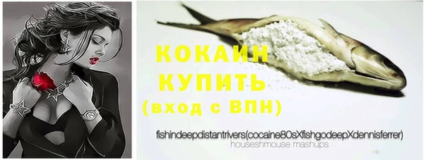 прущие грибы Пересвет