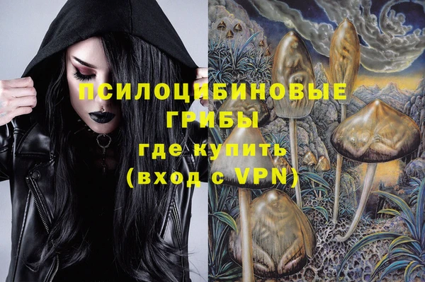 молекула духа Остров
