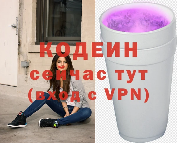 молекула духа Волоколамск