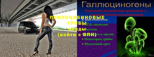 ПСИЛОЦИБИНОВЫЕ ГРИБЫ Гусь-Хрустальный