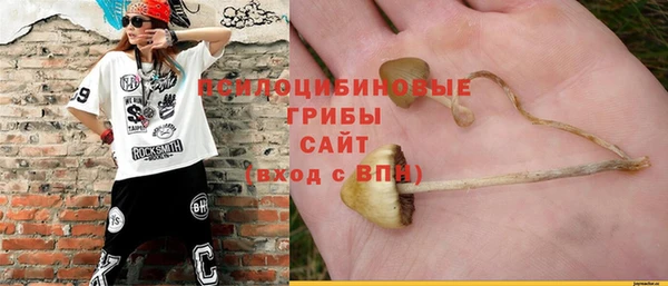 прущие грибы Пересвет