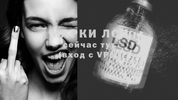 прущие грибы Пересвет